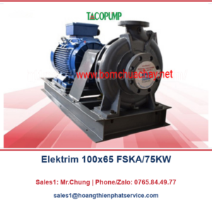 Động cơ và truyền động Elektrim 100x65 FSKA/75KW