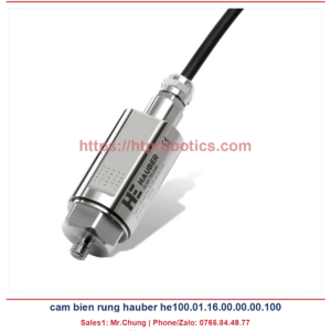 Cảm biến rung Hauber HE100.01.16.00.00.00.100