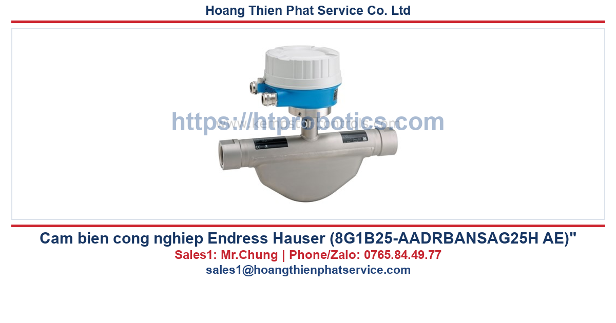 Endress Hauser (8G1B25-AADRBANSAG25H AE)"