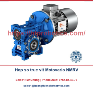 Hộp số trục vít Motovario NMRV: model NMRV 30 đến NMRV 63